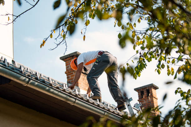 Best Roof Repair Services  in Mcloud, OK